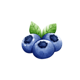 EyeLoveMe: Blueberry