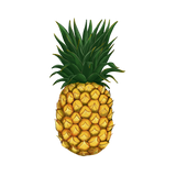 EyeLoveMe: Pineapple